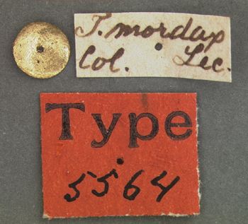 Media type: image;   Entomology 5564 Aspect: labels